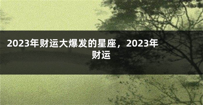 2023年财运大爆发的星座，2023年财运