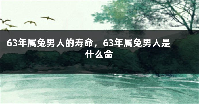 63年属兔男人的寿命，63年属兔男人是什么命