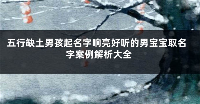 五行缺土男孩起名字响亮好听的男宝宝取名字案例解析大全