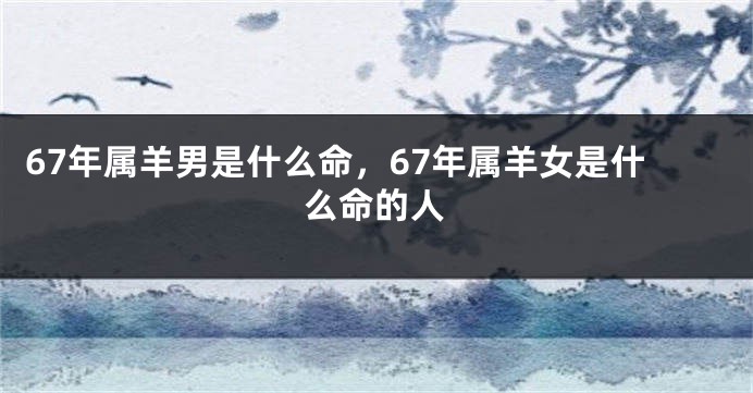 67年属羊男是什么命，67年属羊女是什么命的人