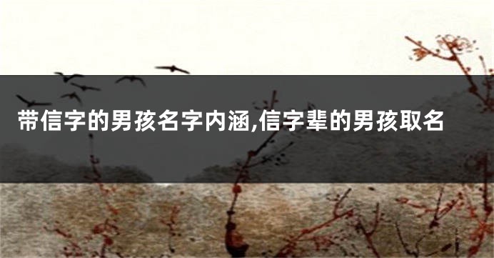 带信字的男孩名字内涵,信字辈的男孩取名