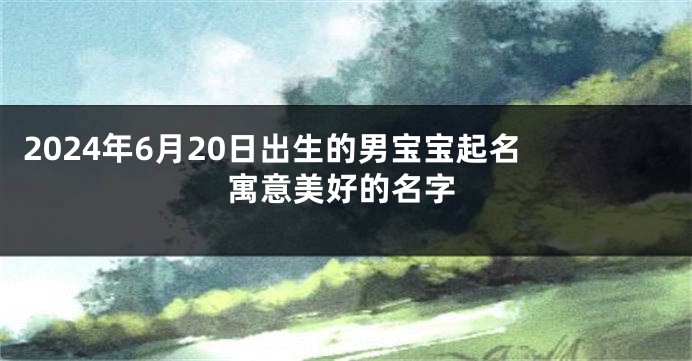 2024年6月20日出生的男宝宝起名 寓意美好的名字