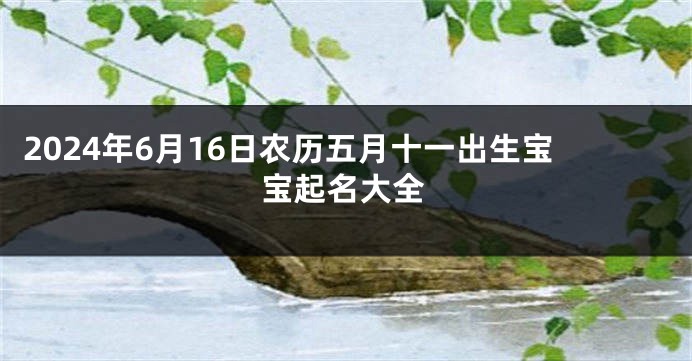 2024年6月16日农历五月十一出生宝宝起名大全