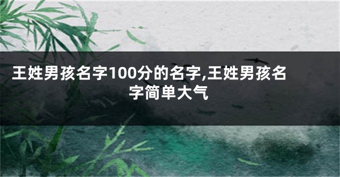 王姓男孩名字100分的名字,王姓男孩名字简单大气