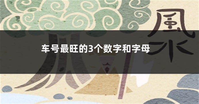 车号最旺的3个数字和字母