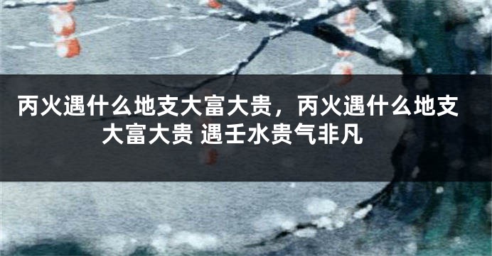 丙火遇什么地支大富大贵，丙火遇什么地支大富大贵 遇壬水贵气非凡