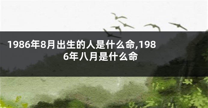 1986年8月出生的人是什么命,1986年八月是什么命