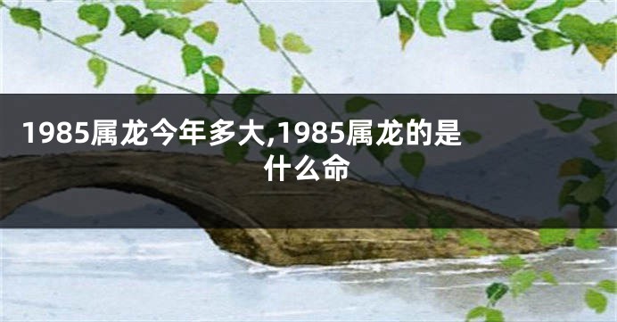 1985属龙今年多大,1985属龙的是什么命