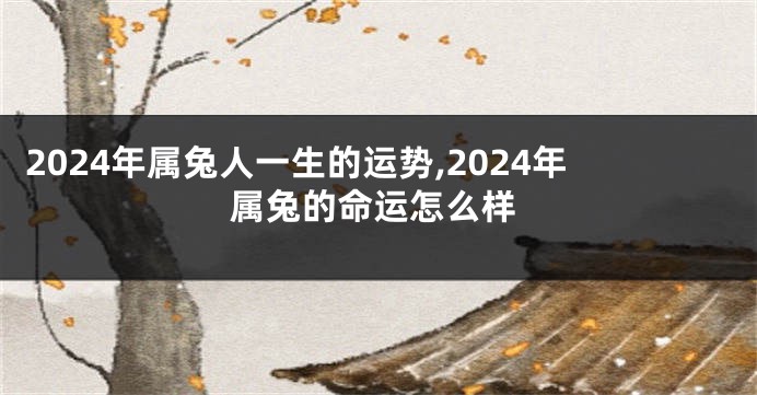 2024年属兔人一生的运势,2024年属兔的命运怎么样