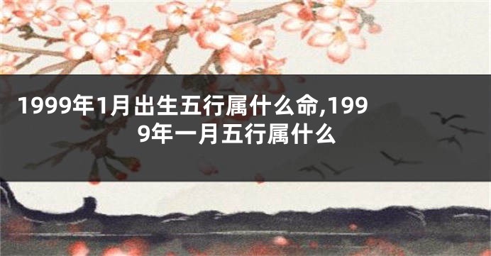 1999年1月出生五行属什么命,1999年一月五行属什么