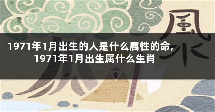 1971年1月出生的人是什么属性的命,1971年1月出生属什么生肖