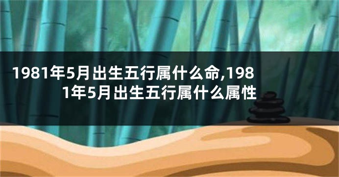 1981年5月出生五行属什么命,1981年5月出生五行属什么属性