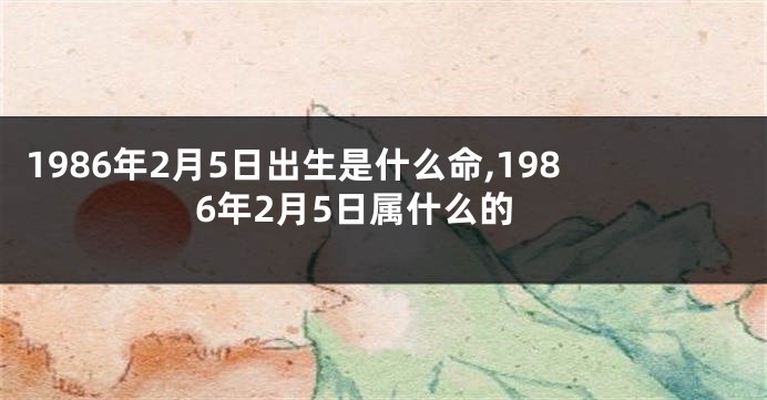 1986年2月5日出生是什么命,1986年2月5日属什么的