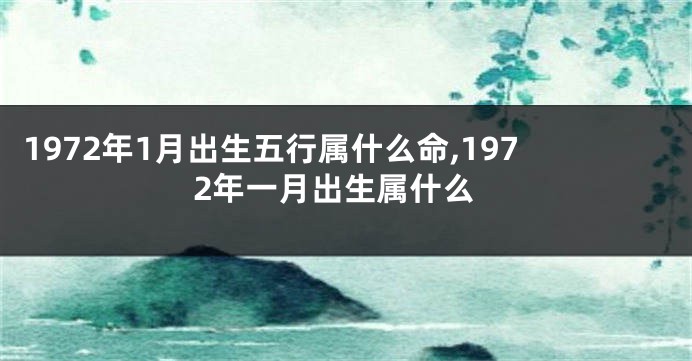 1972年1月出生五行属什么命,1972年一月出生属什么