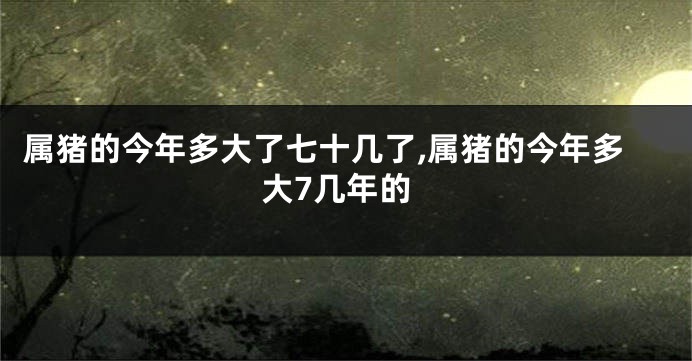 属猪的今年多大了七十几了,属猪的今年多大7几年的