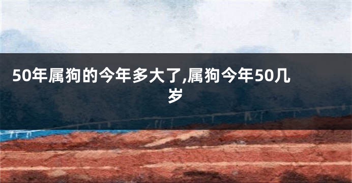 50年属狗的今年多大了,属狗今年50几岁