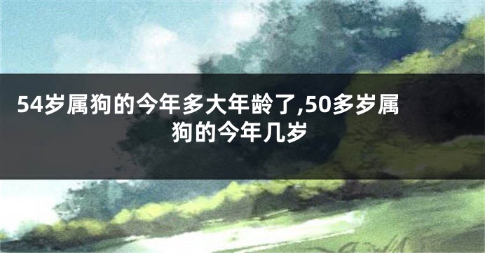 54岁属狗的今年多大年龄了,50多岁属狗的今年几岁