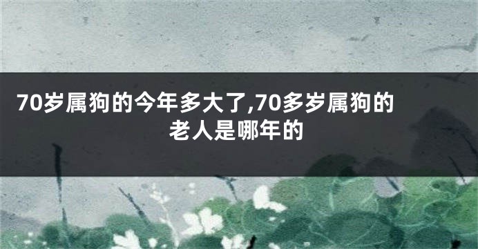 70岁属狗的今年多大了,70多岁属狗的老人是哪年的