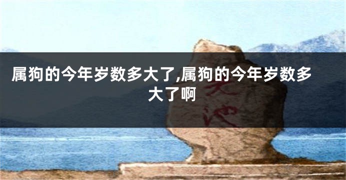 属狗的今年岁数多大了,属狗的今年岁数多大了啊