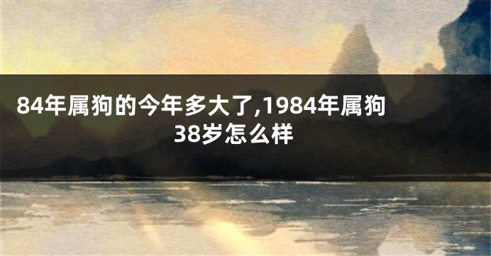 84年属狗的今年多大了,1984年属狗38岁怎么样