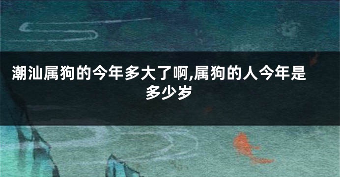 潮汕属狗的今年多大了啊,属狗的人今年是多少岁