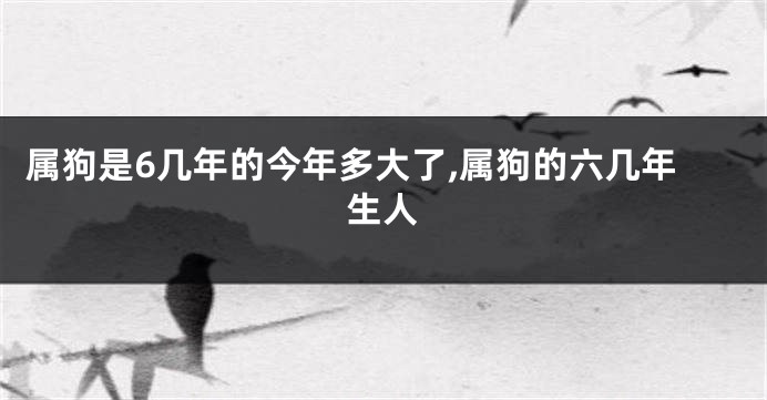 属狗是6几年的今年多大了,属狗的六几年生人