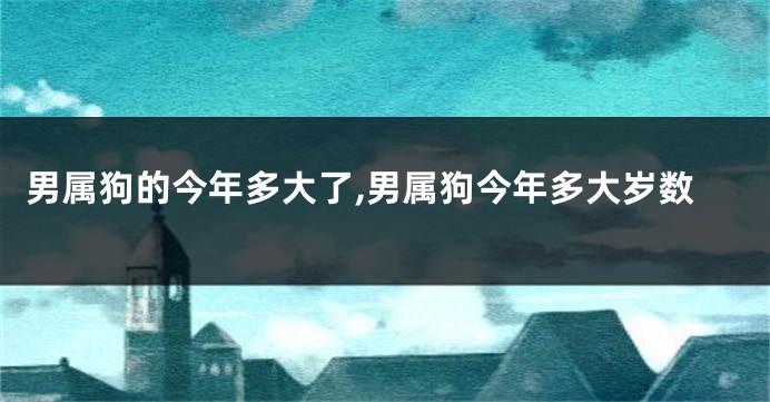 男属狗的今年多大了,男属狗今年多大岁数