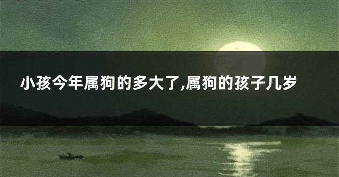 小孩今年属狗的多大了,属狗的孩子几岁