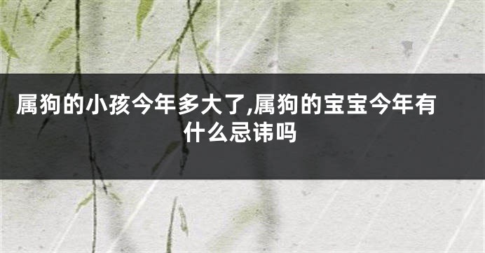 属狗的小孩今年多大了,属狗的宝宝今年有什么忌讳吗