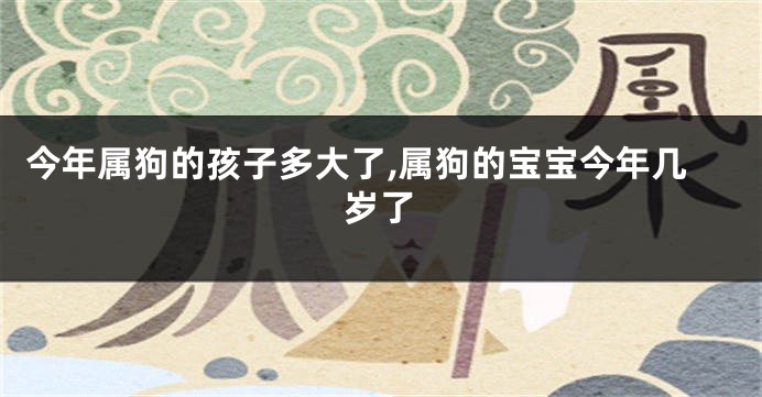 今年属狗的孩子多大了,属狗的宝宝今年几岁了