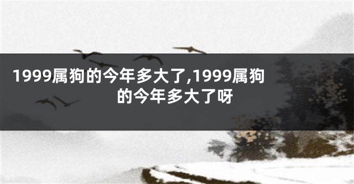 1999属狗的今年多大了,1999属狗的今年多大了呀