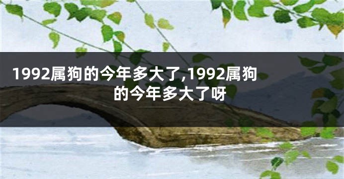 1992属狗的今年多大了,1992属狗的今年多大了呀