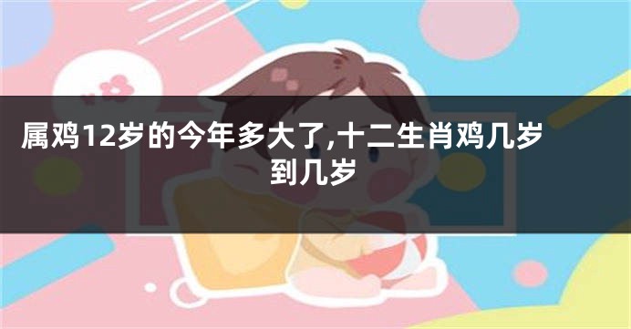 属鸡12岁的今年多大了,十二生肖鸡几岁到几岁