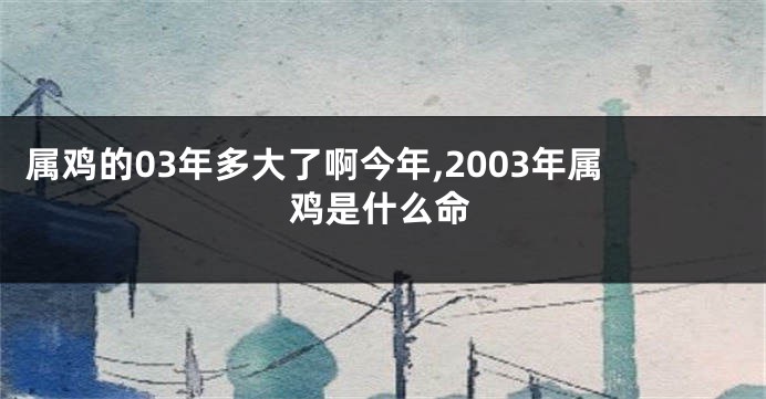 属鸡的03年多大了啊今年,2003年属鸡是什么命