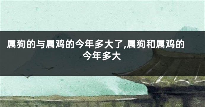 属狗的与属鸡的今年多大了,属狗和属鸡的今年多大