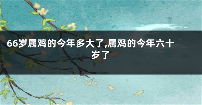 66岁属鸡的今年多大了,属鸡的今年六十岁了