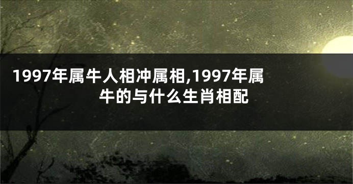 1997年属牛人相冲属相,1997年属牛的与什么生肖相配