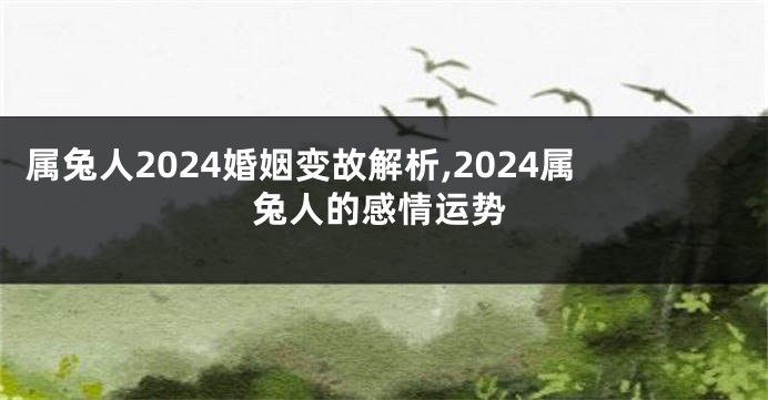 属兔人2024婚姻变故解析,2024属兔人的感情运势