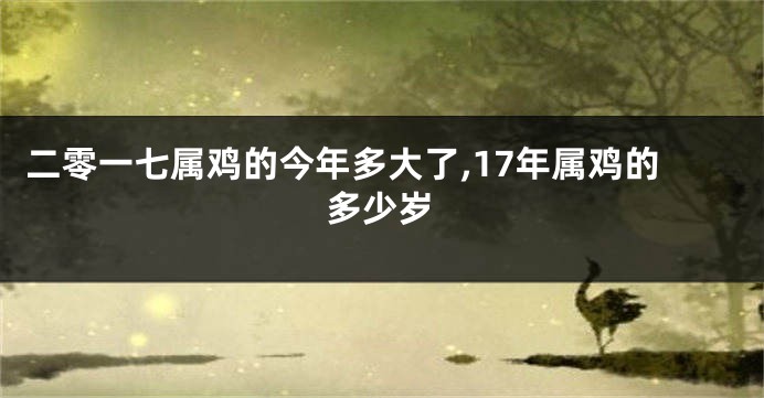 二零一七属鸡的今年多大了,17年属鸡的多少岁