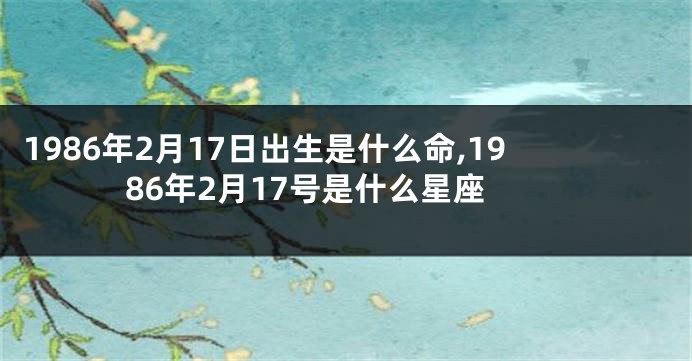 1986年2月17日出生是什么命,1986年2月17号是什么星座