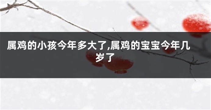 属鸡的小孩今年多大了,属鸡的宝宝今年几岁了