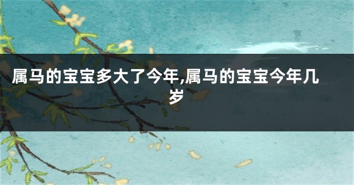 属马的宝宝多大了今年,属马的宝宝今年几岁