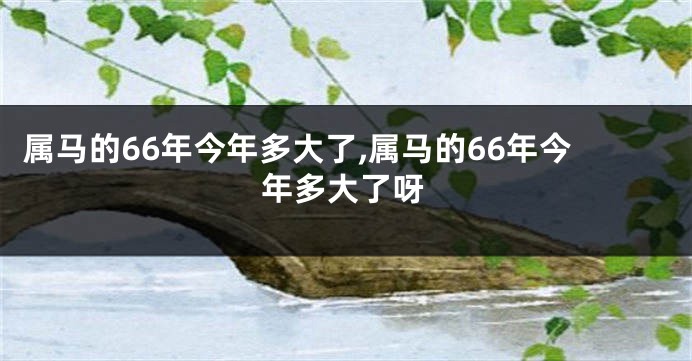 属马的66年今年多大了,属马的66年今年多大了呀