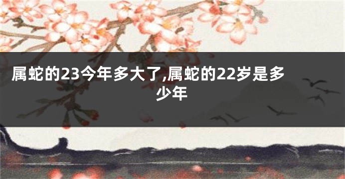 属蛇的23今年多大了,属蛇的22岁是多少年