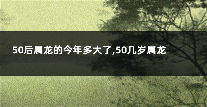 50后属龙的今年多大了,50几岁属龙