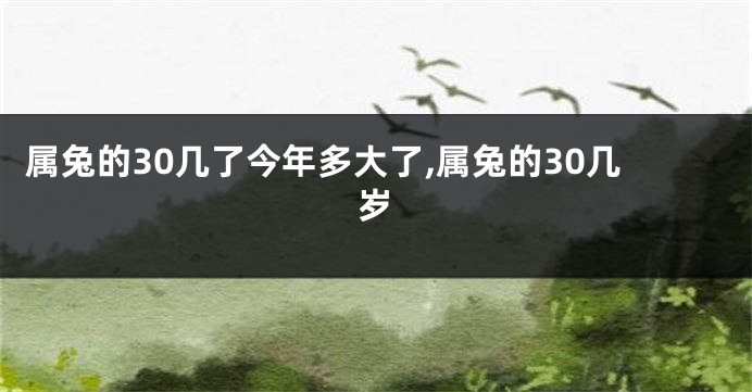 属兔的30几了今年多大了,属兔的30几岁