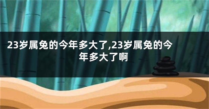 23岁属兔的今年多大了,23岁属兔的今年多大了啊