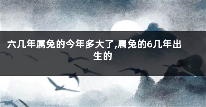 六几年属兔的今年多大了,属兔的6几年出生的