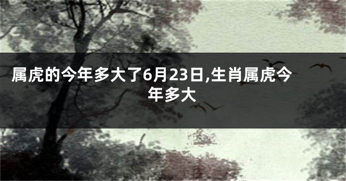 属虎的今年多大了6月23日,生肖属虎今年多大