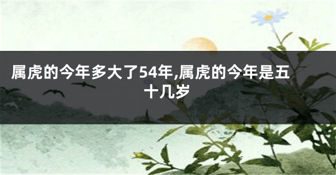 属虎的今年多大了54年,属虎的今年是五十几岁